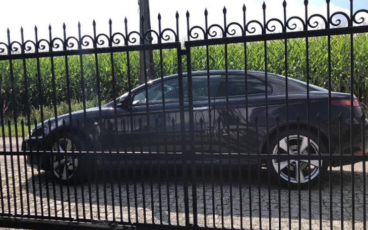 Zbiórka Naprawa po zderzeniu z dzikiem - zdjęcie główne