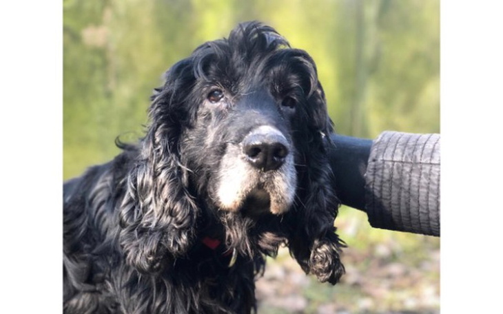 Zbiórka Leczenie Tediego - zdjęcie główne