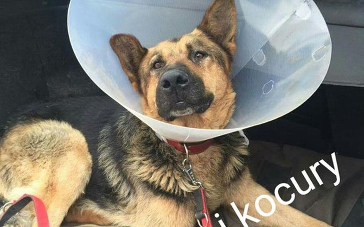 Zbiórka ZImowa zbiórka na bezdomniaki - zdjęcie główne