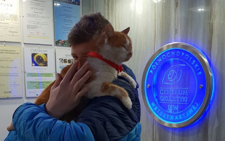 Zbiórka Operacja oczu Dawidka - zdjęcie główne