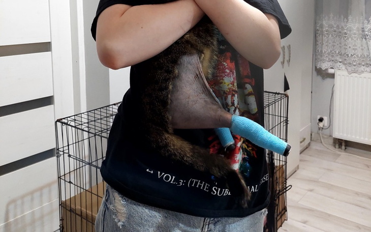 Zbiórka Złotówka na ratowanie fundacji - zdjęcie główne