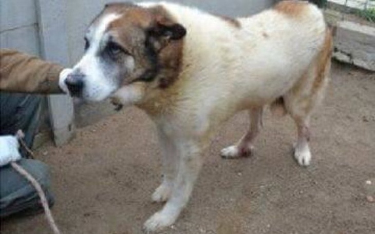 Zbiórka Umrze samotnie za kratkami? - zdjęcie główne