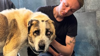 Zbiórka Skatowany Ranger - miniaturka zdjęcia