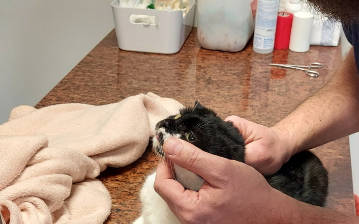 Zbiórka Faktury za leczenie. - zdjęcie główne