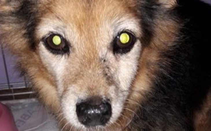 Zbiórka Zbiórka na Żabę - zdjęcie główne