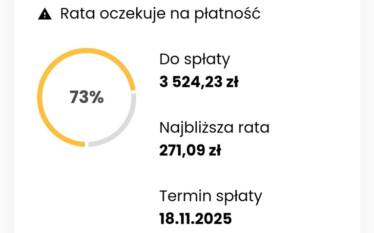 Wykres płatności z informacjami o zadłużeniu.