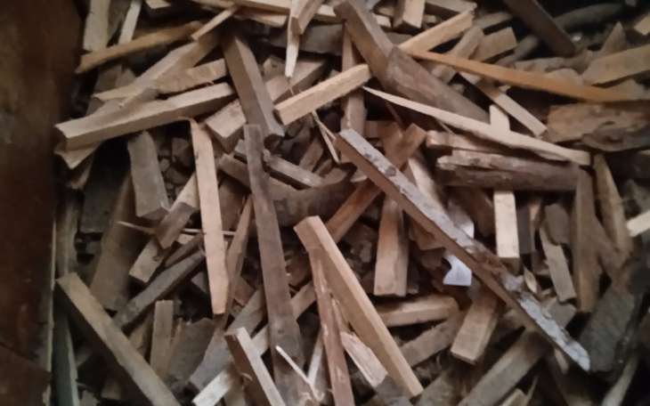 Zbiórka Zbieram na opal na zimę - zdjęcie główne