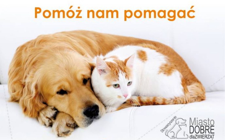 Zbiórka by Nowy Rok nie był końcem... - zdjęcie główne