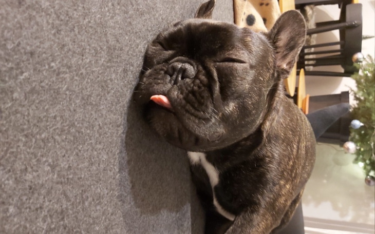 Zbiórka Operacja Gaby - zdjęcie główne