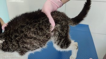 Zbiórka To Koniec ? - miniaturka zdjęcia