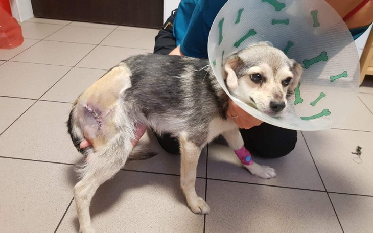 Zbiórka Pomóż ratować życie małej Emi - zdjęcie główne