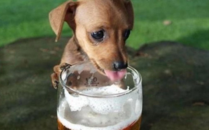 Zbiórka Zbiórka na piwo - zdjęcie główne