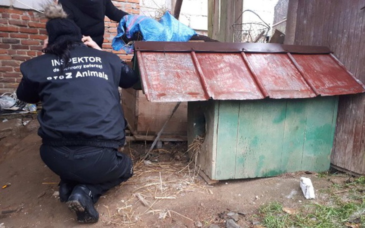 Zbiórka Bieszczadzkie zwierzaki - zdjęcie główne