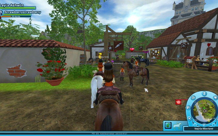 Zbiórka jedzenie ,pomużmy - zdjęcie główne