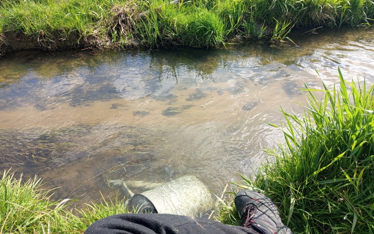 Widok na strumień z trawą wokół i nogami w wodzie.