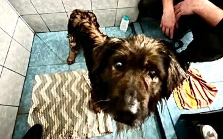 Zbiórka Puszek płakał tak głośno - zdjęcie główne