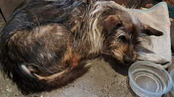 Zbiórka Ona szła donikąd. - miniaturka zdjęcia