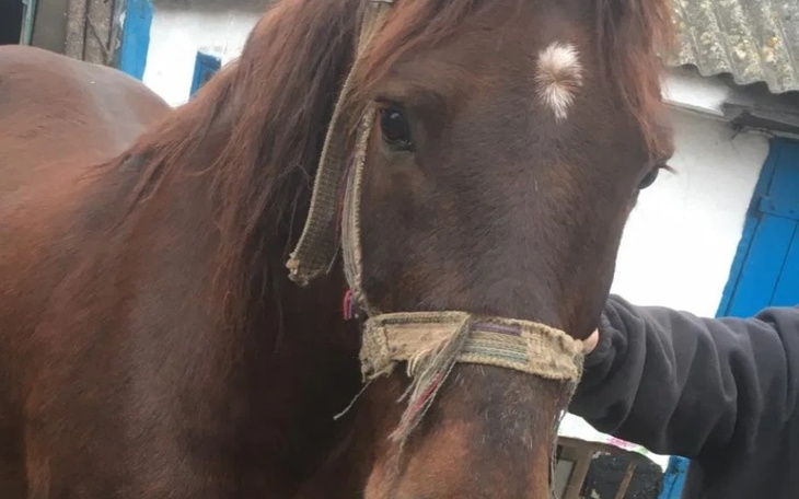 Zbiórka Pomóż dziecku cieszyć się - zdjęcie główne