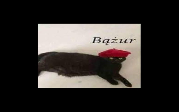 Zbiórka na nude - zdjęcie główne