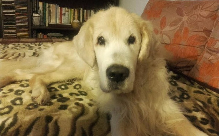 Zbiórka Bonusowa Starość - zdjęcie główne