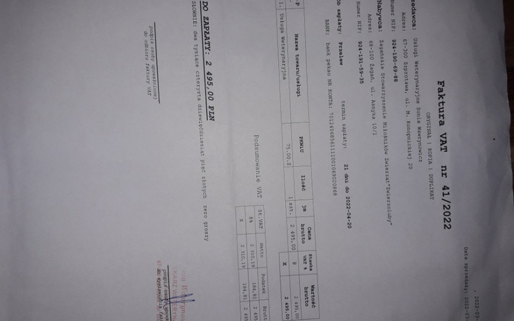 Zbiórka Kotki z Ukrainy- Faktura - zdjęcie główne