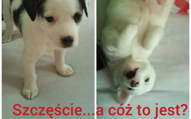 Zbiórka Chcemy godnie żyć :( - zdjęcie główne