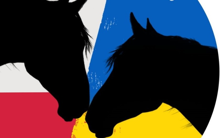 Zbiórka Ruszaj na pomoc koniom z Ukrainy - zdjęcie główne