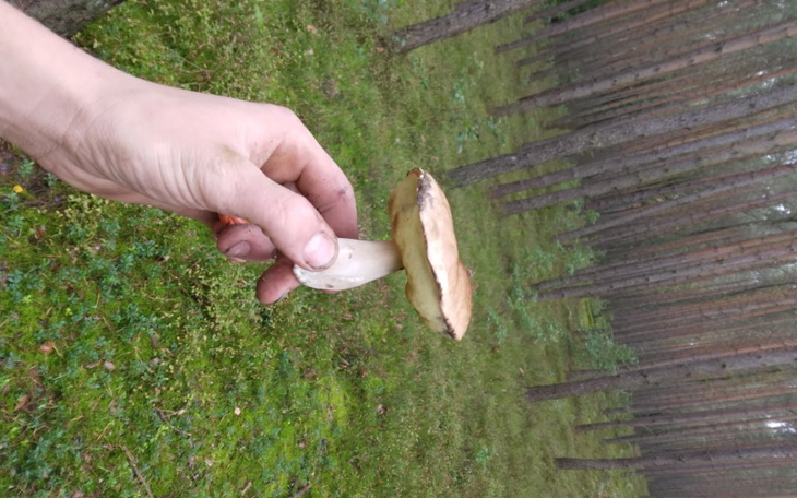 Zbiórka Na jedzenie i przezycie - zdjęcie główne