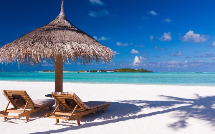 Zbiórka Na wakacje dla rodziców 2023 - zdjęcie główne