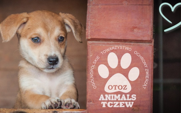 Zbiórka Salon Piękności dla bezdomniaków - zdjęcie główne