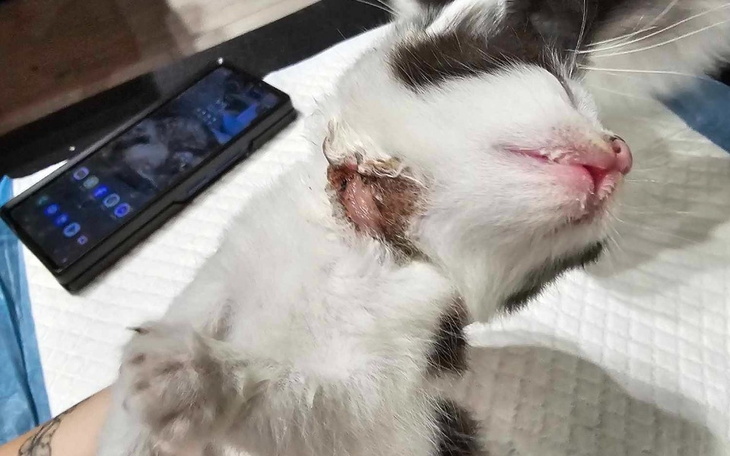 Zbiórka Dla maluchów z rowu - zdjęcie główne