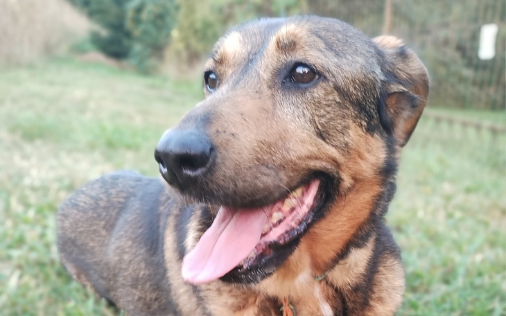 Zbiórka Fortuna - zdjęcie główne