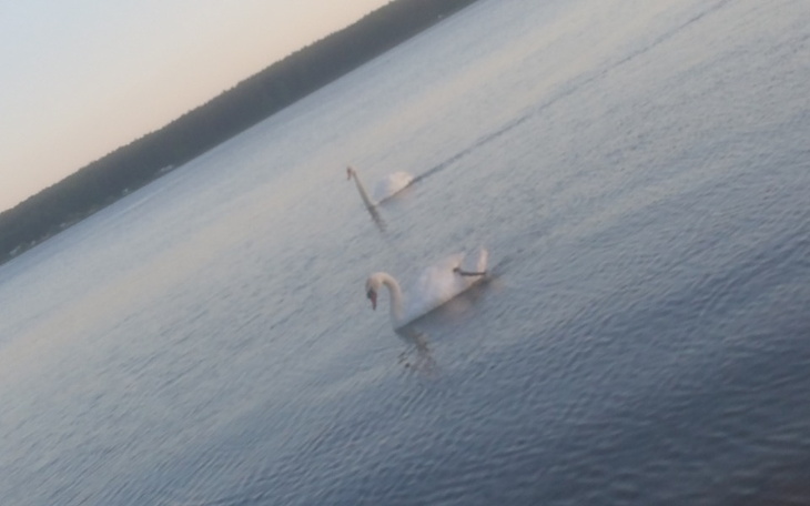 Zbiórka 18 urodziny brata - zdjęcie główne