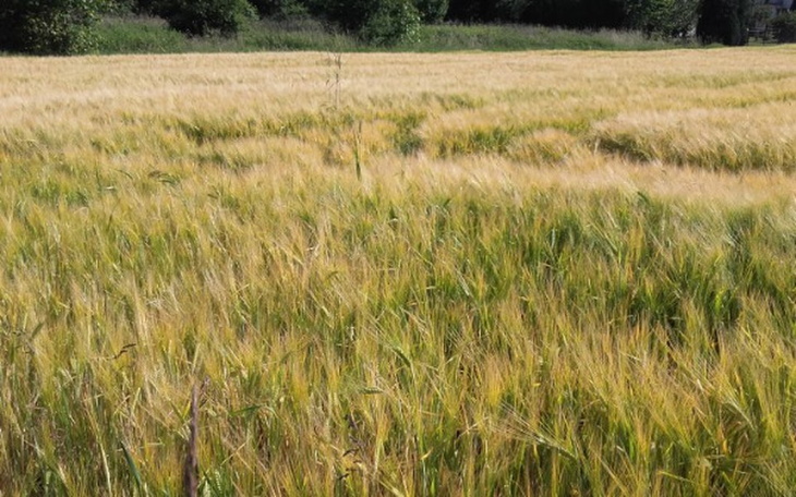 Zbiórka Utracone oszczędnści - zdjęcie główne