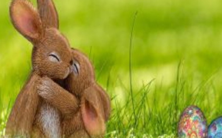 Zbiórka Święta wielkanocne... - zdjęcie główne