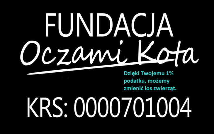 Zbiórka faktury weterynaryjne - zdjęcie główne