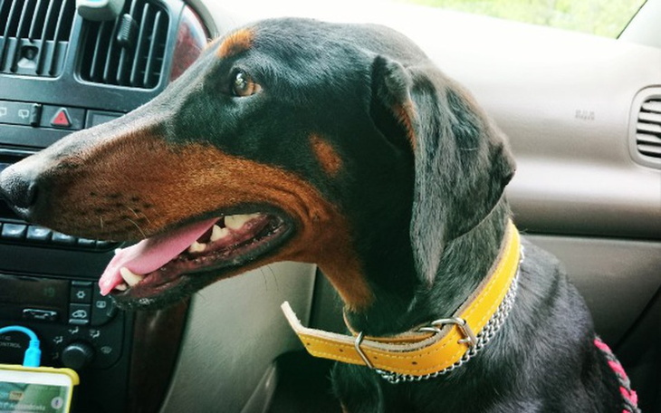 Zbiórka Nowe życie Sary - zdjęcie główne