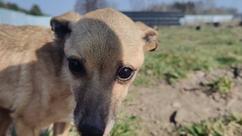 Zbiórka Pomóżcie nam opłacić faktury. - miniaturka zdjęcia