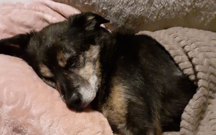 Zbiórka Operacje I leczenie Mikusia - zdjęcie główne