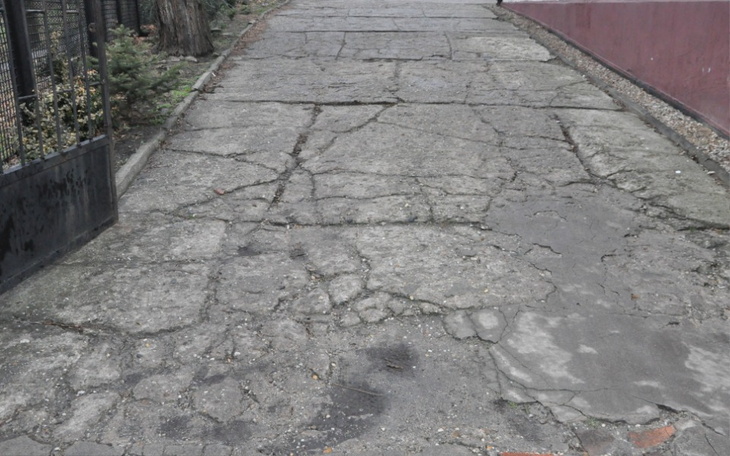 Zbiórka Przyjazne podwórko - zdjęcie główne