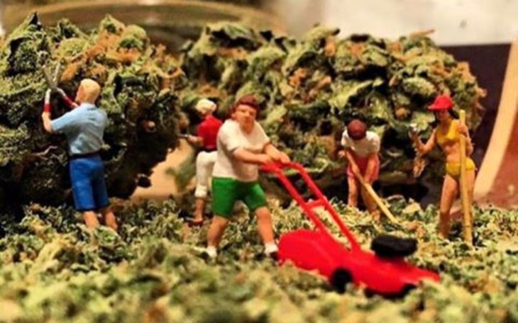 Zbiórka na chorobe padaczki - zdjęcie główne