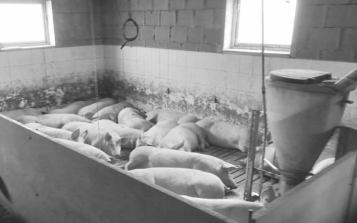 Zbiórka Zbiórka na pomoc rolnikowi - zdjęcie główne