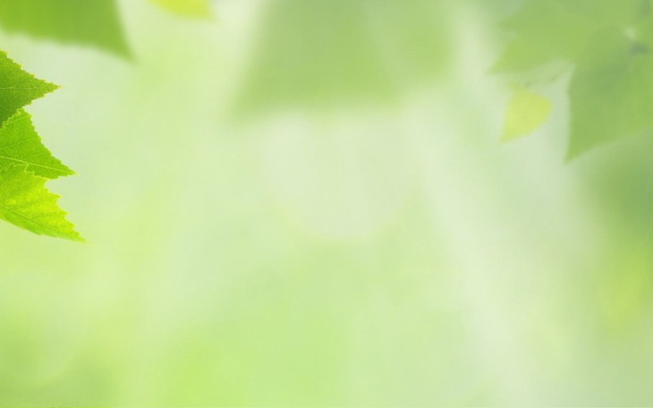 Zbiórka Bezpieczna Przystań - Ośrodek - zdjęcie główne