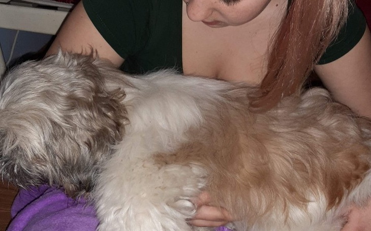 Zbiórka Operacja mojego przyjaciela - zdjęcie główne