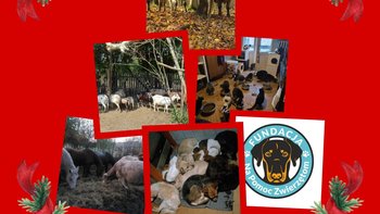 Zbiórka Na to czego brakuje - miniaturka zdjęcia