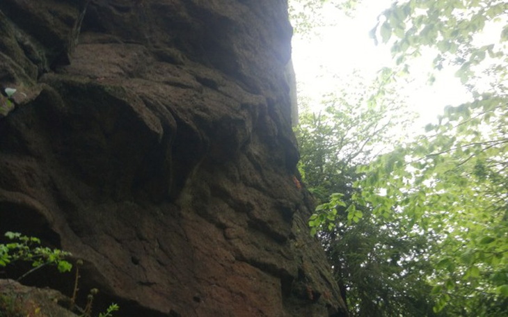 Zbiórka Samsung Galaxy S9+ - zdjęcie główne