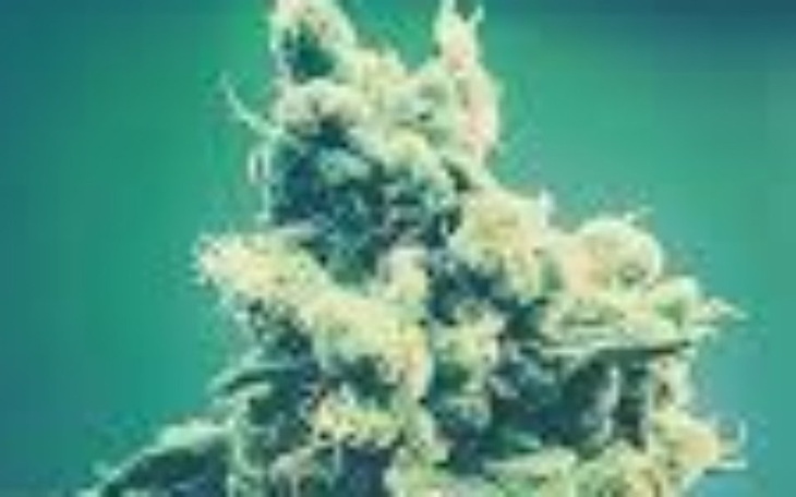 Zbiórka Na jarunek Prosze pomóż bo bida - zdjęcie główne