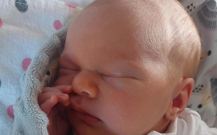 Zbiórka Zbiorka dlaLivii - zdjęcie główne