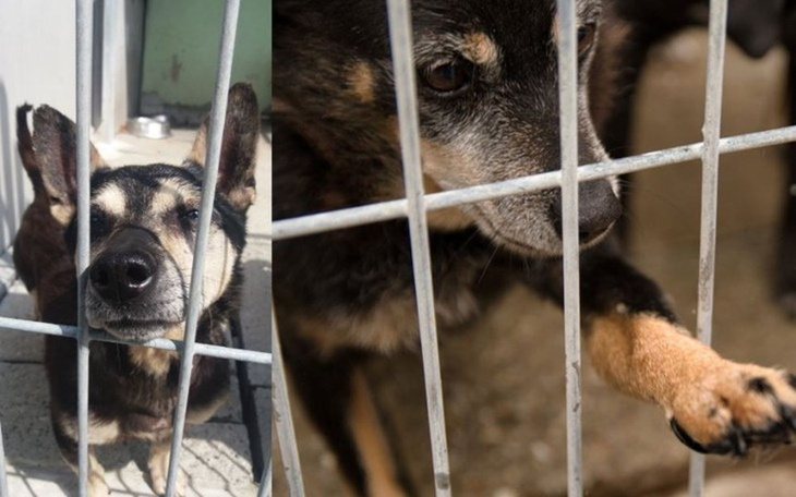 Zbiórka Zbiórka dla Klary i Tofika - zdjęcie główne