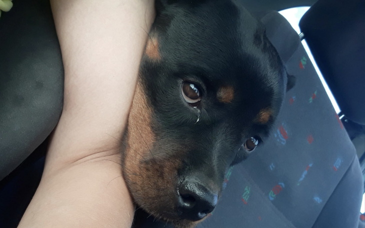 Zbiórka Mała Megi - los zatrzasnął drzwi - zdjęcie główne